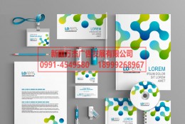 品牌設(shè)計(jì) 名片 手提袋 畫冊(cè) 整套VI 