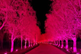 吉木薩爾天地園光影秀亮化項目