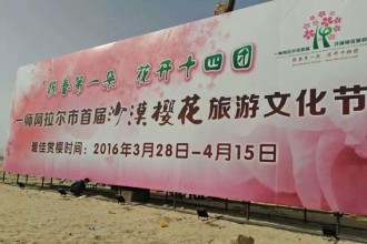 阿拉爾十四團(tuán)雙面高立柱6*18米兩個(gè)7天施工現(xiàn)場(chǎng)